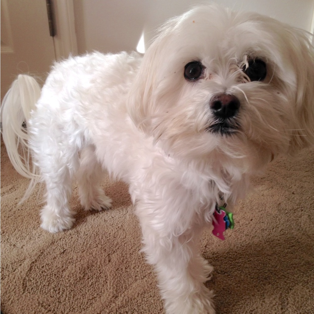 Meet your Posher, Nicole